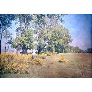 Autochrome Lumiere "elegant With Broom" Circa 1910 Photograph 