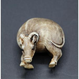 Carved Ivory Netsuke – Japan, Meiji Period (1868–1912) Water Buffalo 