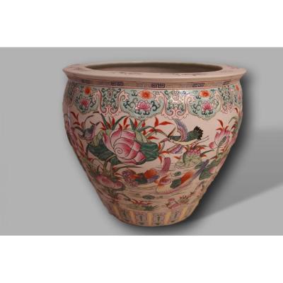 Grand Aquaruim China Porcelain