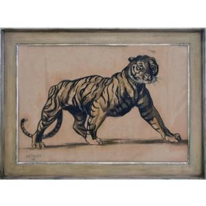 Art Deco, Early 20th Century, Pe Millet, Tiger, Charcoal And Gouache On Paper