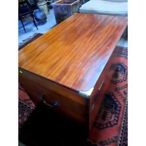 Large 19th Century Camphor Trunk In Perfect Condition