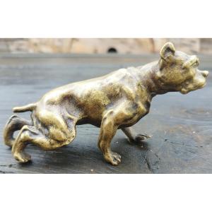 19th Century Bronze Bulldog