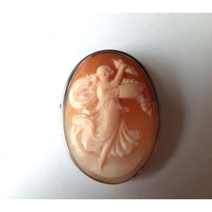 Shell Cameo Pendant/brooch - Women's