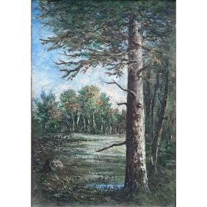 Narcissus Virgilio Díaz De La Peña (1807-1876) - Oil On Canvas - Undergrowth