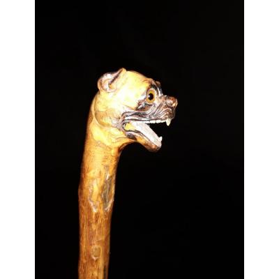 Canne - Bois - Pommeau Sculpt&eacute; T&ecirc;te De Molosse - XXe 