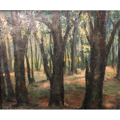 Alexis Kalaeff - Sous Bois - Oil On Canvas