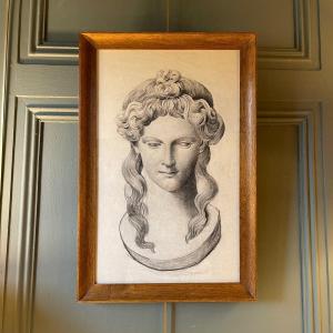 Bust Of Isis, 19th Century Academic Drawing