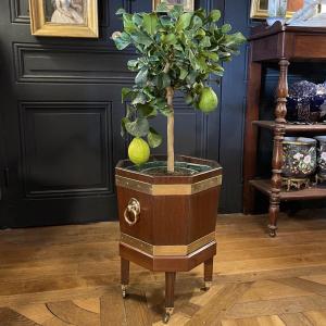 Orange Tree Planter, 19th Century