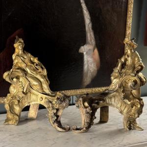 Pair Of Louis XV Style Andirons By Henri Picard, 19th Century