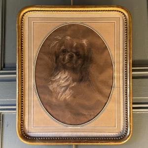 Portrait Of A Dog By Vincent-anglade