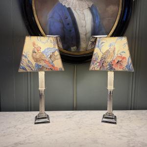 Pair Of Louis XVI Style Silver-plated Metal Lamps, 42 Cm High