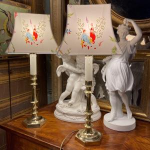 Pair Of 19th Bronze Lamps