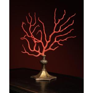 Red Coral Branch Set On A Gothic Brass Base