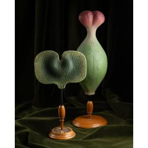 Botanical Models Of Ferns And Angiosperms, Including Two Brendel