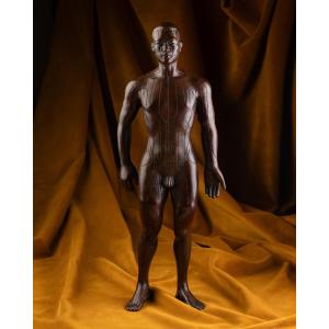Modern Bronze Acupuncture Model, Or Tong Ren