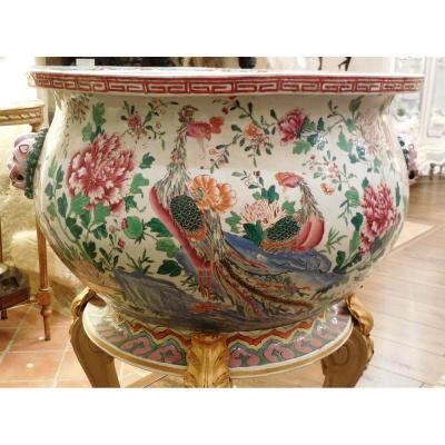 Monumental Decor Aquarium XIX In Phoenix And Peonies