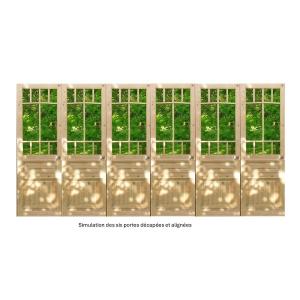 Series Of 6 Old Glass Doors Showcase Library Partition
