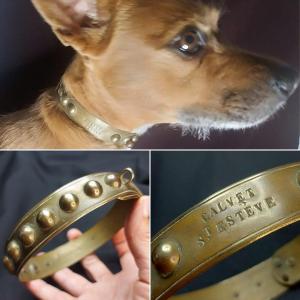 19th Century Dog Collar