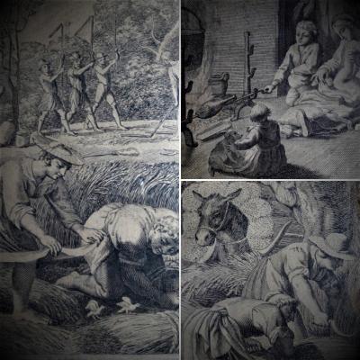 Engravings (pair Of)