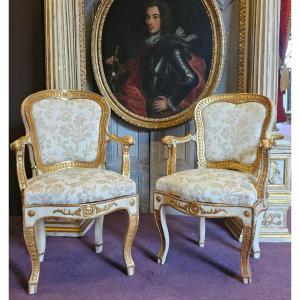 Pair Of Armchairs With Frame Louis XV Period