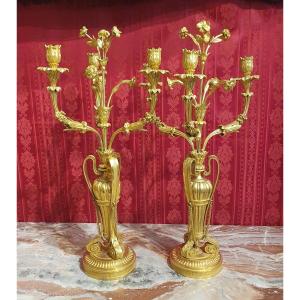 Pair Of Louis XVI Style Candelabra