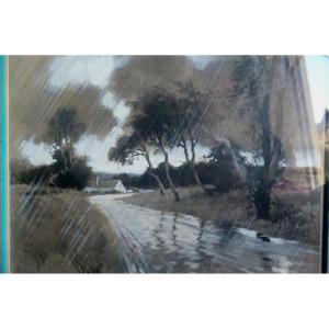 Rare Lavis Rain Landscape