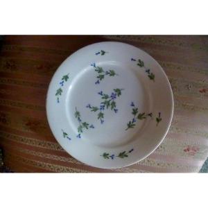 24 Plates Decor Shingle Middle XIX E Old Paris