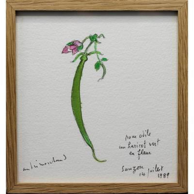 Green Bean In Bloom - André Marchand