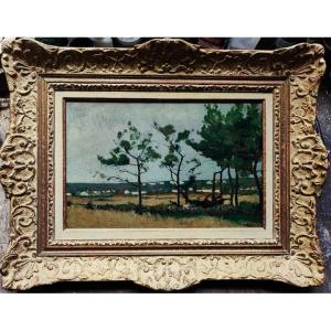 Henri Callot (1875-1956) Moorland With Pine Trees, Isle Of Yeu. Painter Of The Navy, Rigaud, La Rochelle