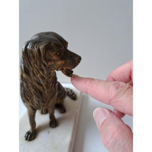 Bronze Card-carrying Dog From Vienna 
