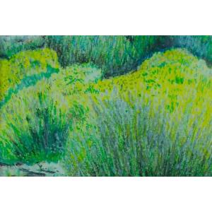 René Riey Beautiful Old Drawing Impressionist Light Effect The Lavender Juan Les Pins Landscape