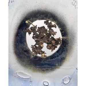 Charles André Acquire Sculpture Disc Glass Paste Bronze Contemporary Artist Sculptor 