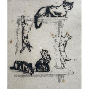 Paul Renouard Beautiful Engraving Portrait Of A Kitten Cat Playing Art Nouveau