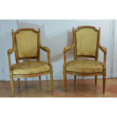 Pair Of Parisian Armchairs Old Louis XVI At Plumets Soie Furniture