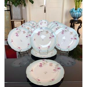 Fine Porcelain Dinner Plate Service - Romantic Decor Carnation Flowers Monograms