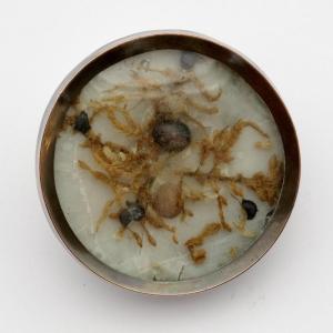 Buffon Button With Moss And Seeds, 18th Century