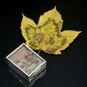 English Silver Box With Fox Hunting Engravings, Circa 1900