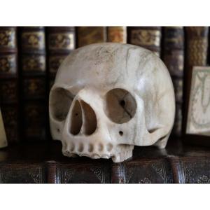 Vanitas - Memento Mori - Carrara Marble Skull, Italy, 18th Century