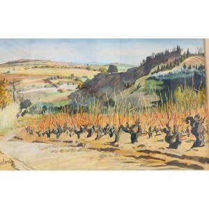 Marcel Delaris 1911-1995 Landscape Provençal Vineyards Mixed Media On Paper