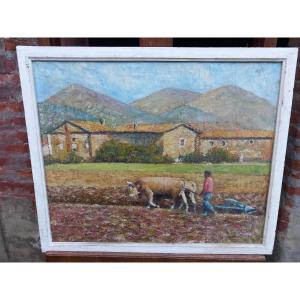"ploughing In Provence" Oil On Canvas Mounted On Cardboard, 20th Century 