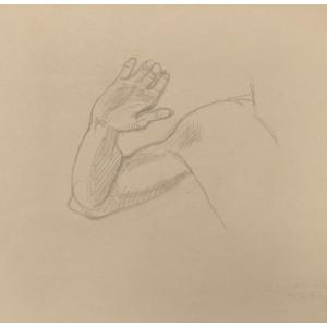 Etude Académie Masculine Original Drawing By Félix Vallotton