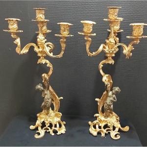 Pair Of Louis XV Style Gilt Bronze Candlesticks