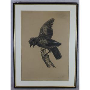 Raymond Bigot (1872-1953), Engraving “le Jay”, Signed, 20th