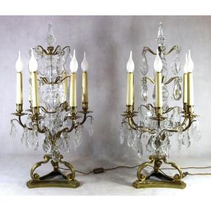 Large Pair Of Bronze And Crystal Girandoles, 19th Century