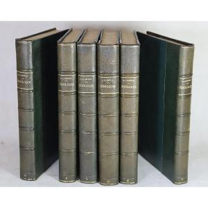 [zoology]. Lameere (auguste). Summary Of Zoology. 20th