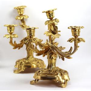 Pair Of Louis XV Style Gilt Bronze Candelabra, Late 19th Century