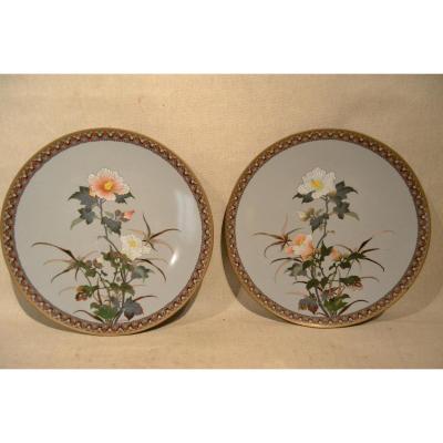 In Pair Of Flat Enamel Cloisonné, Japan, Nineteenth