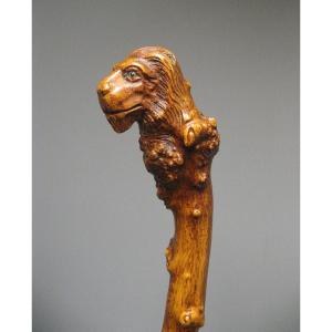 Monoxyl Cane In Boxwood Carved With A Lion's Head. 19th Century Popular Art.