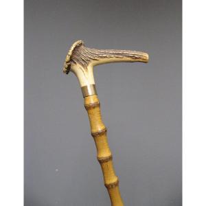 19th Century Child's Cane.