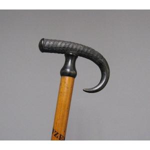 Mountain Walking Cane. Luzern.
